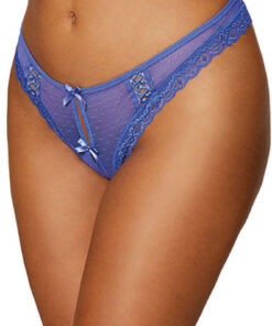 Dot Mesh Open Crotch Thong – Medium – Periwinkle