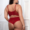 Cinnamon Red 2pc Satin Bra and High Waist Panty – Queen Size