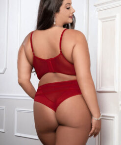 Cinnamon Red 2pc Satin Bra and High Waist Panty – Queen Size