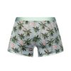 Sheer Prints – Seamless Sheer Short – Small – Flamingo